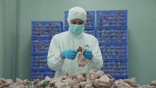 食品安全再上新臺(tái)階 叮咚買菜盱眙工廠通過FSSC體系認(rèn)證與潤(rùn)滑油銷售管理